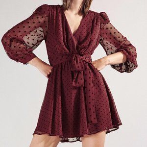 Zara Maroon Polka Dot Dotted Mesh Mini Dress